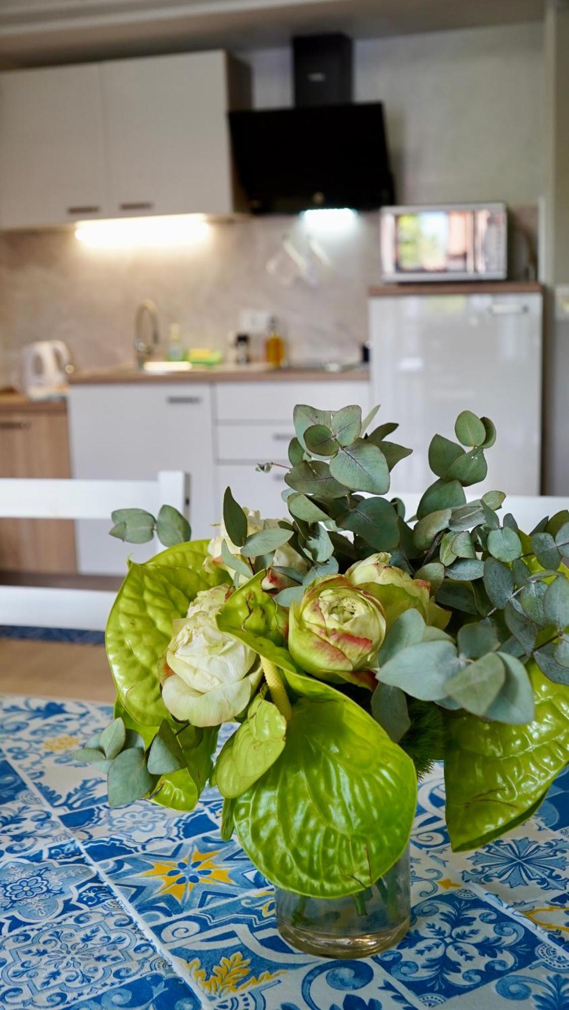 Apartments Ivo Rovinj Croatia Zewnętrze zdjęcie